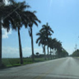 Meet your Posher, Maddie